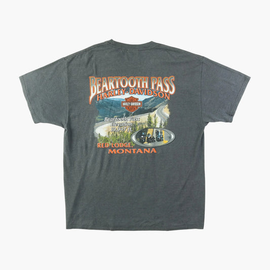 'Beartooth Pass' T-shirt