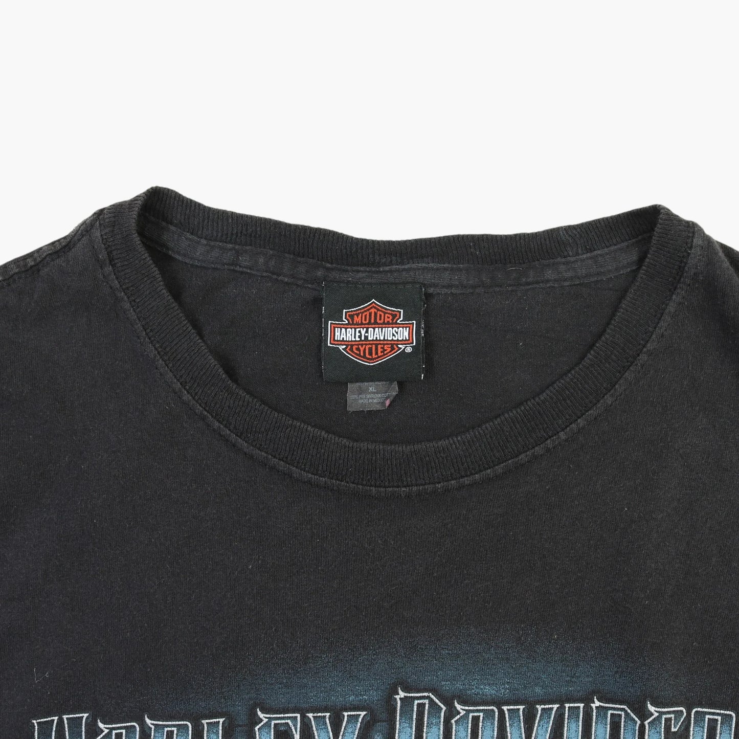 'Horny Toad' T-shirt