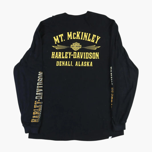 Denali Alaska T-shirt