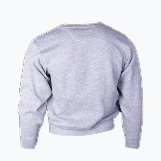 Vintage Allegheny College Graphic Sweatshirt - Grey - American Madness