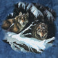 Wolves T-shirt