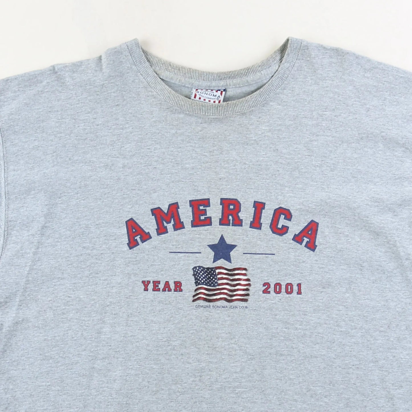 America T-Shirt