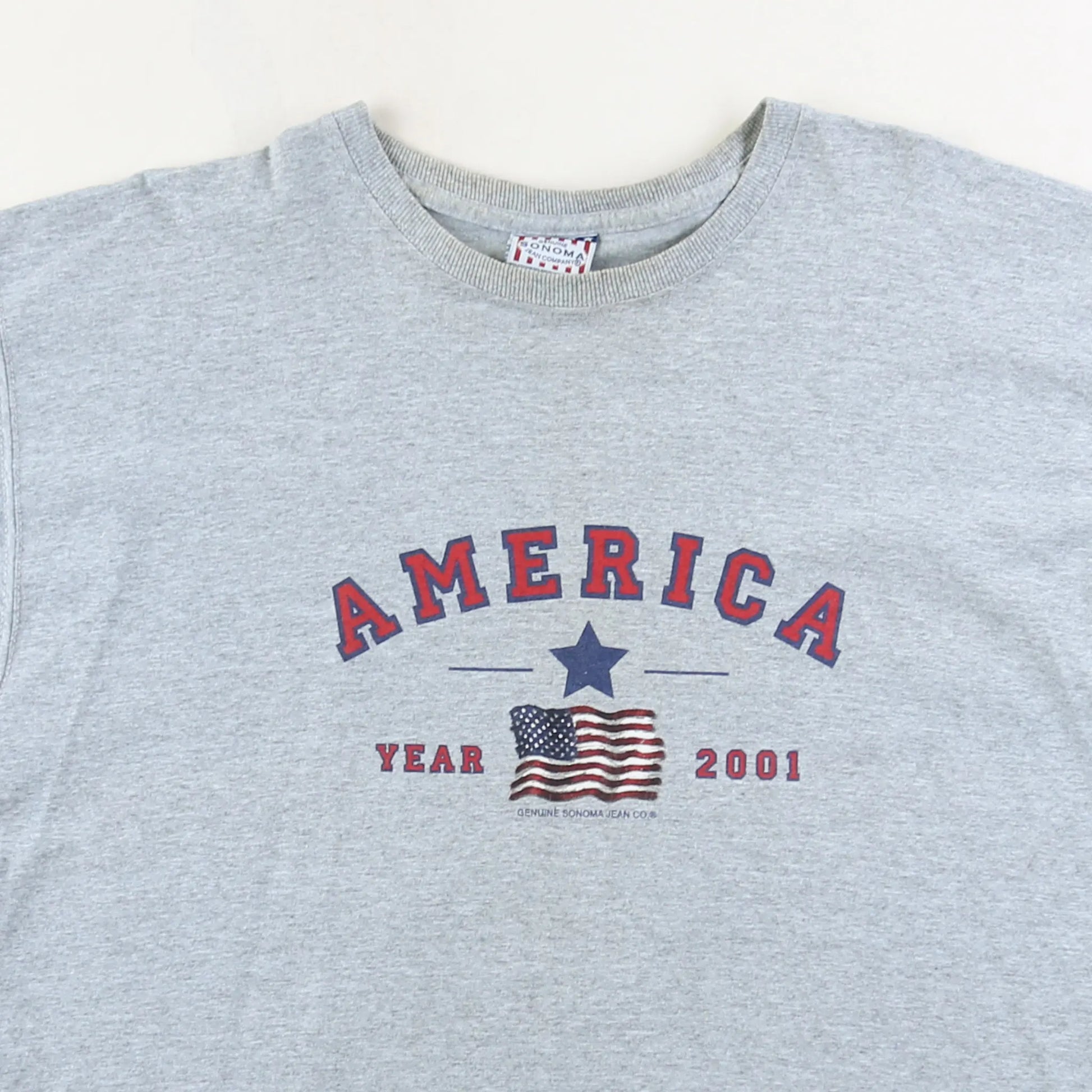 America T-Shirt