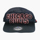 Chicago Bulls Cap