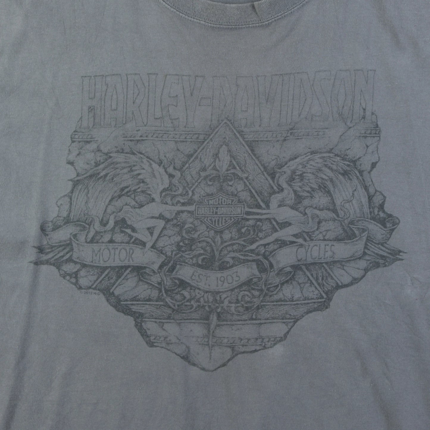 'Rough Rider' T-shirt