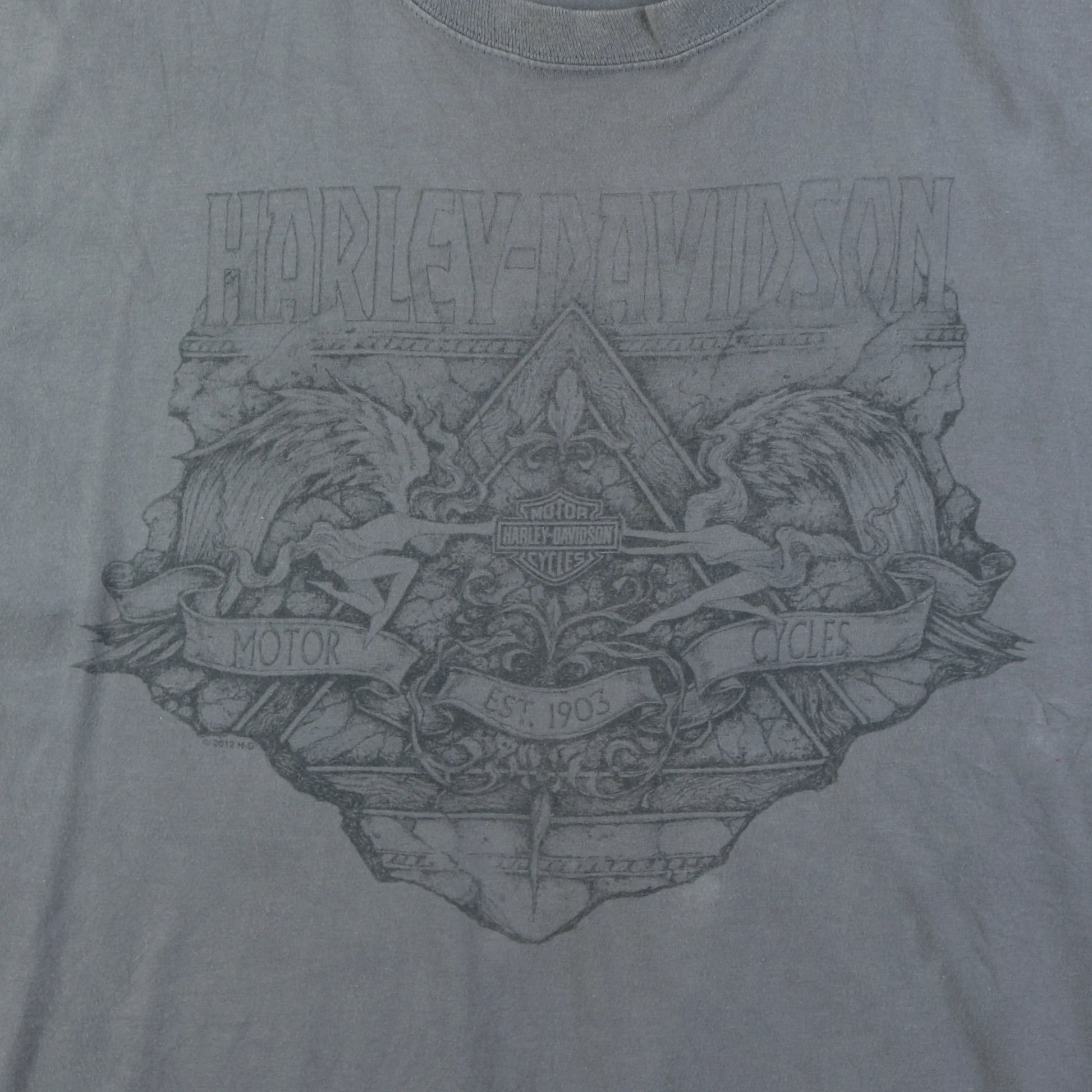 'Rough Rider' T-shirt