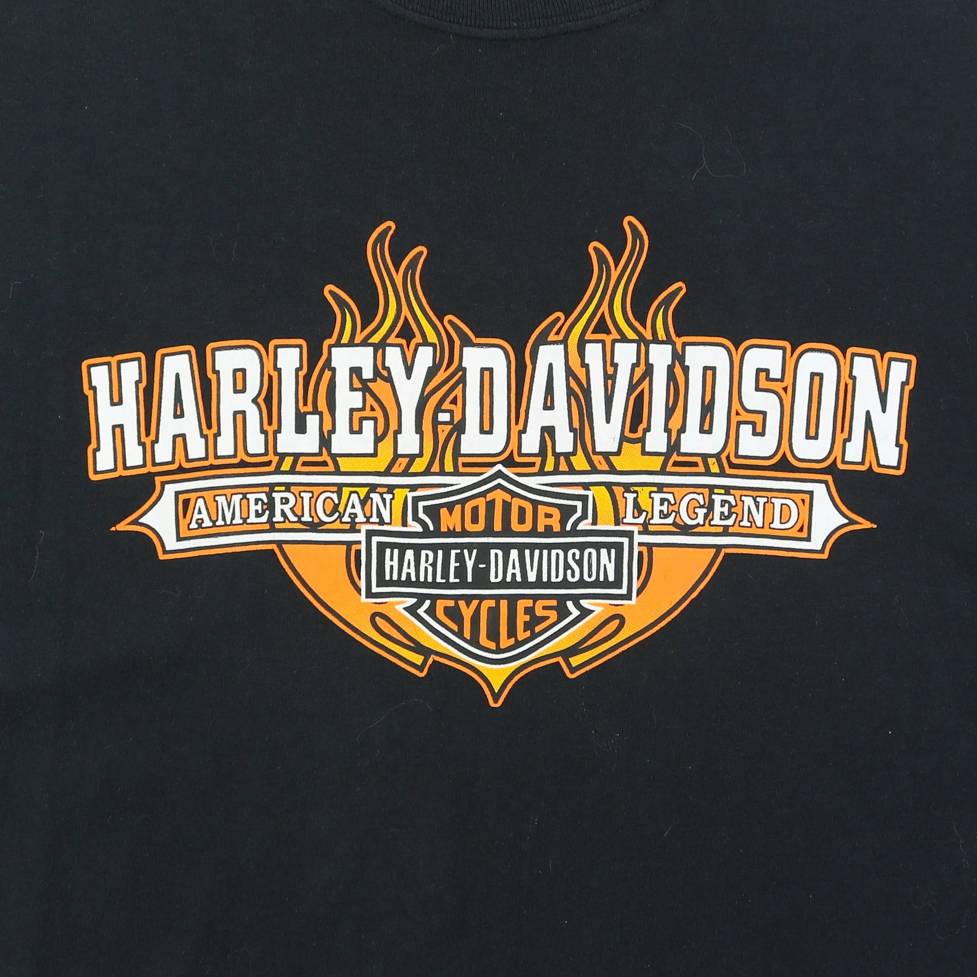 'Harley Davidson Flame Logo' T-Shirt