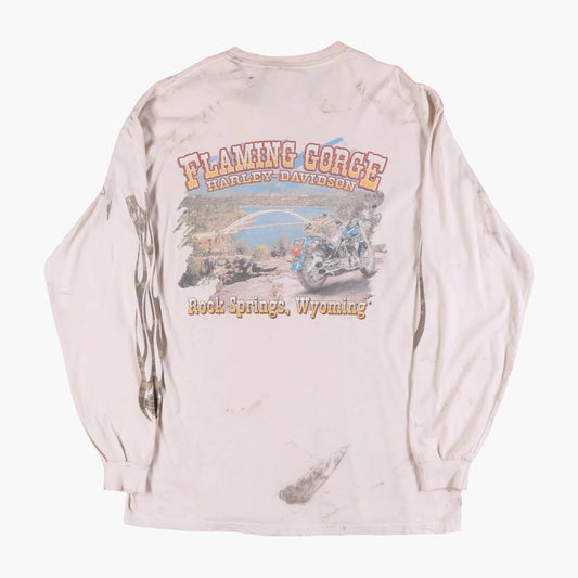 Flaming Gorge T-shirt