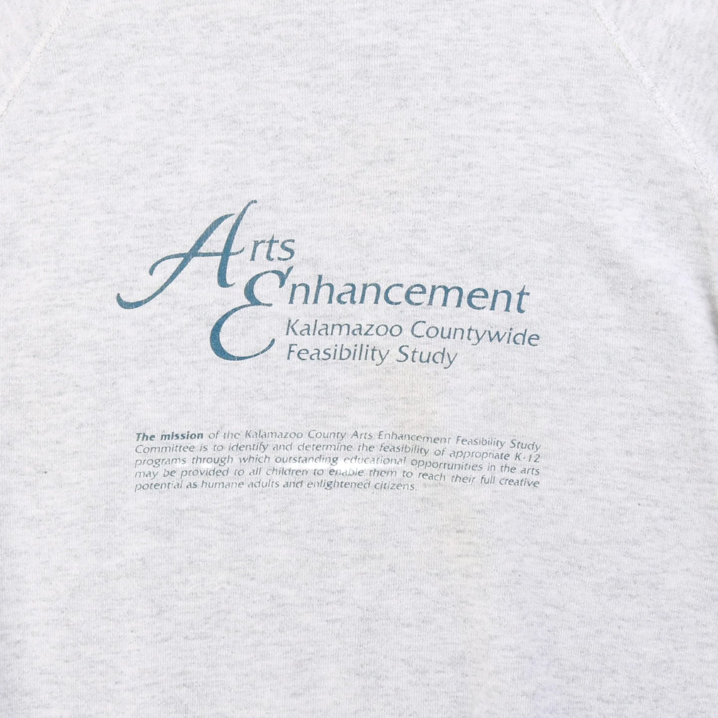 Vintage Education For The Arts Sweatshirt - American Madness