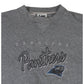 Vintage Carolina Panthers Sweatshirt