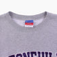 Vintage 'Stonehill' Champion Sweatshirt - American Madness
