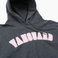 Champion „VANGUARD“ Kapuzensweatshirt