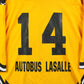 Pontiac Lions Hockey Jersey