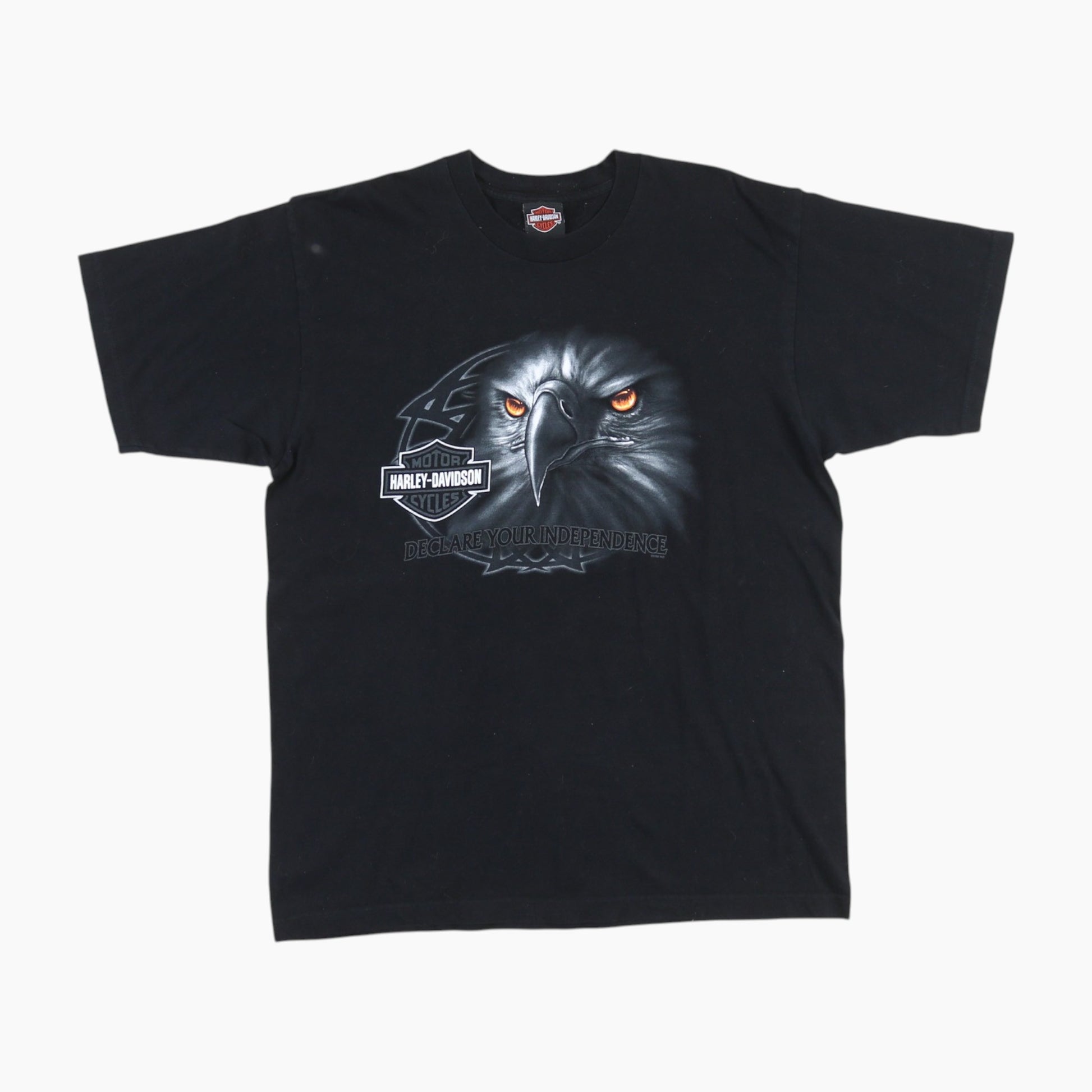 'Declare Your Independce' T-Shirt