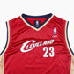 Cleveland Cavaliers NBA Jersey 'James'