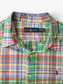 Vintage Shirt - Green Multi Check