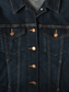Vintage Denim Trucker Jacket