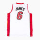 Miami Heat NBA Jersey 'James'