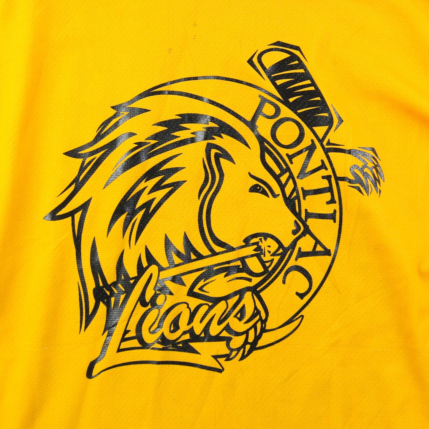 Pontiac Lions Hockey Jersey