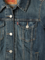 Vintage Denim Trucker Jacket