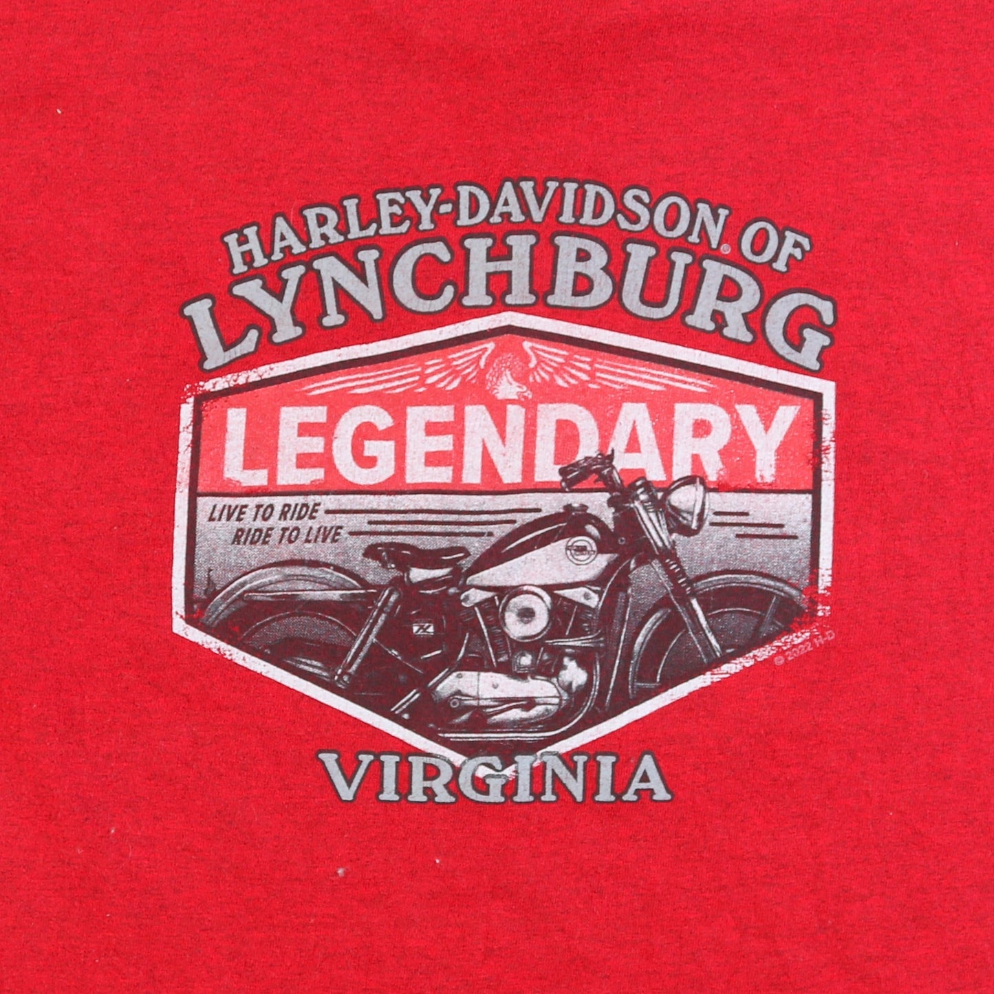 'Lynchburg Virginia' T-shirt