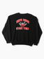 Vintage 'White Pigeon Cheer Team' Sweatshirt