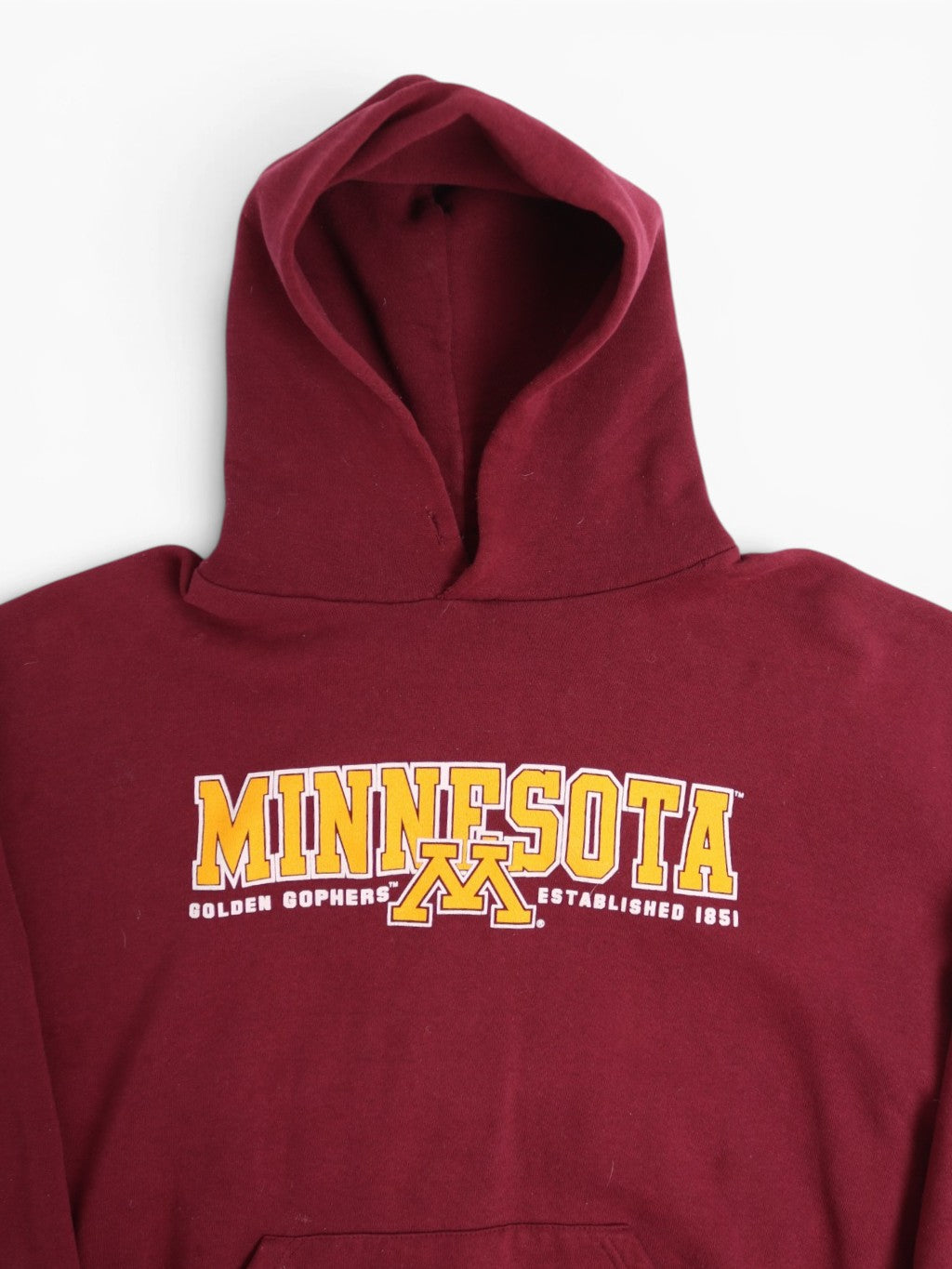 'Minnesota' Hooded Sweatshirt