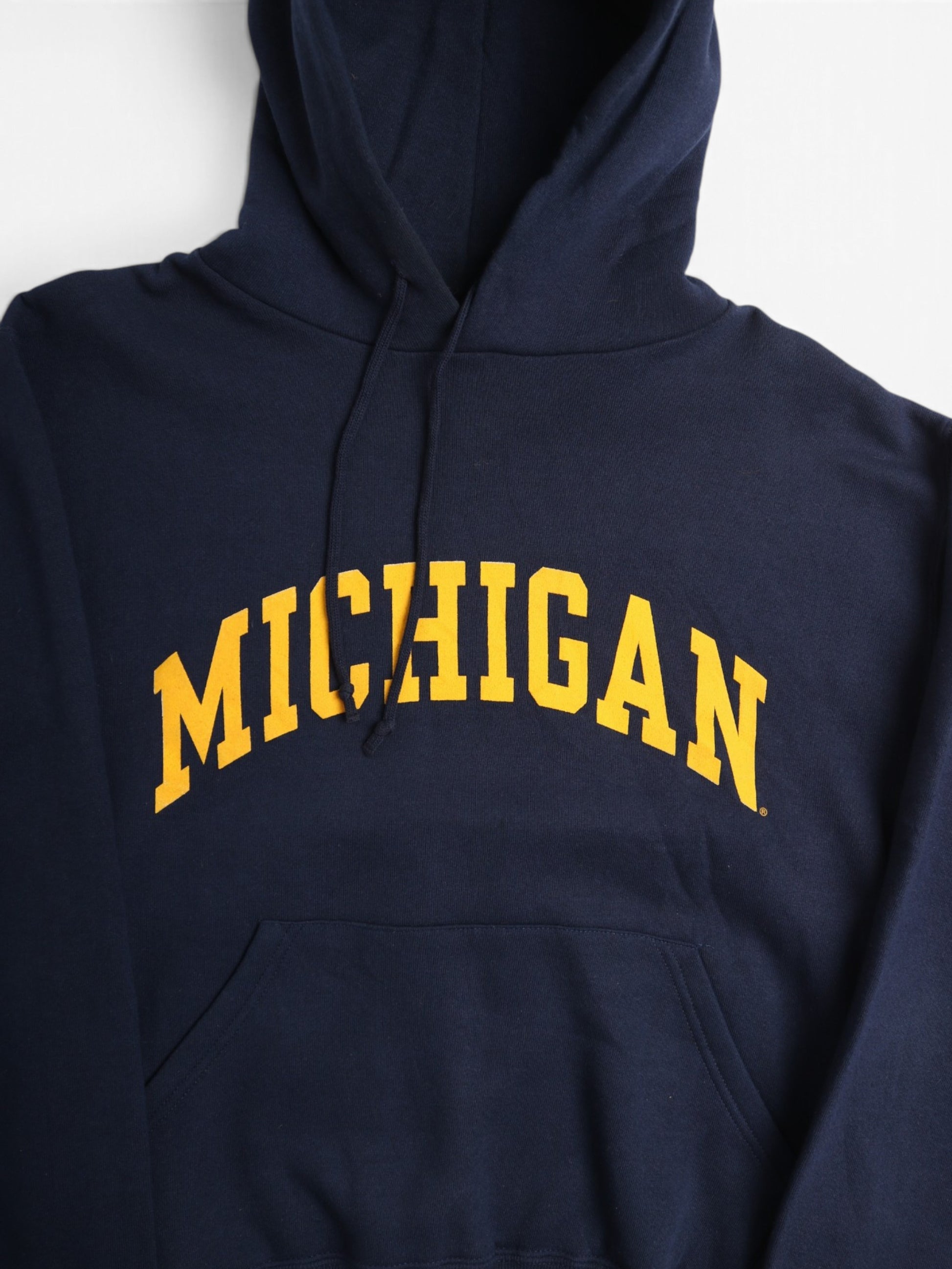 Vintage 'Michigan' Hooded Sweatshirt