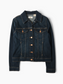 Vintage Denim Trucker Jacket
