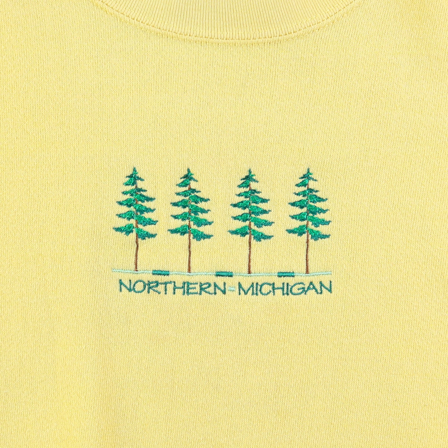 Vintage Northern Michigan Sweatshirt