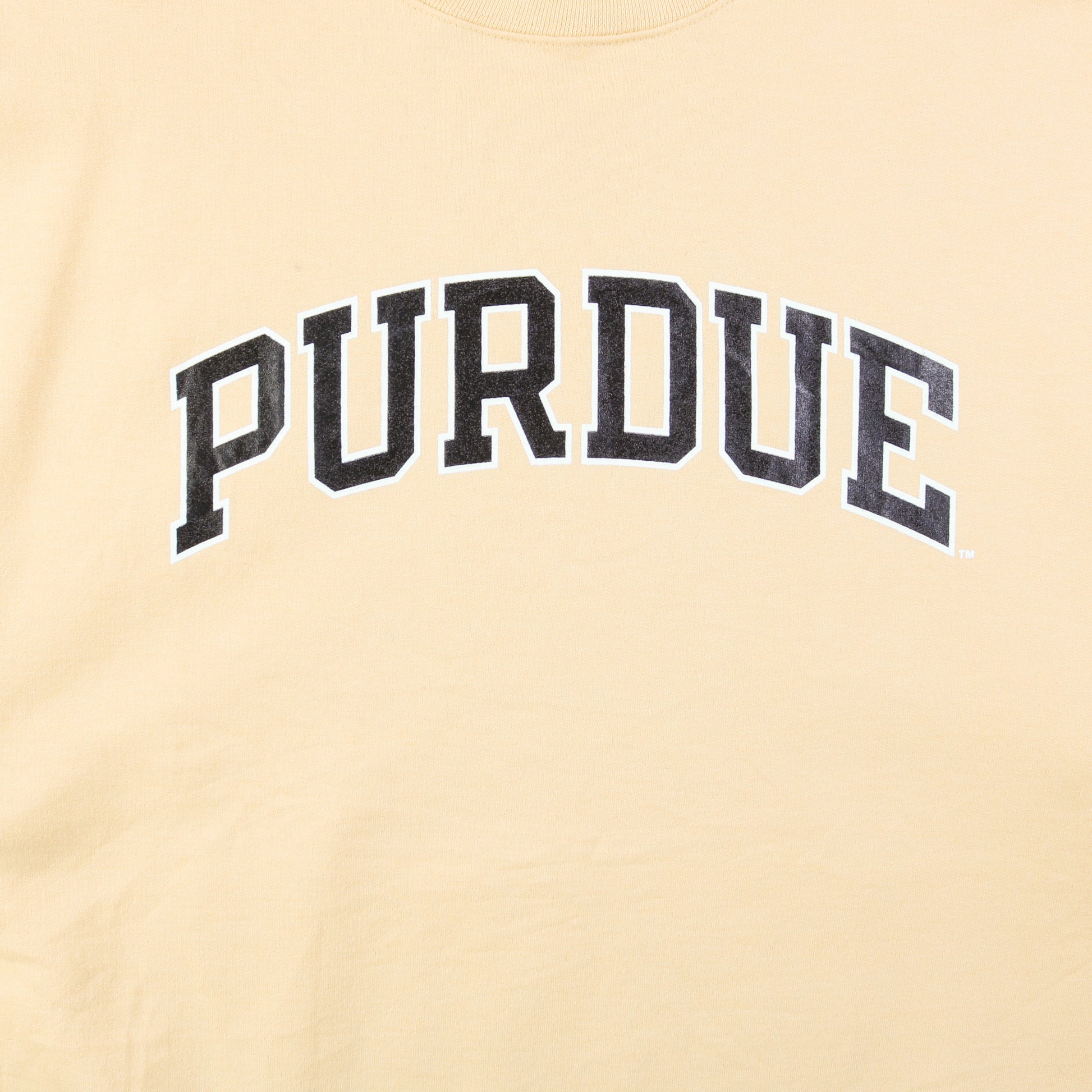 Purdue sale champion sweatshirt