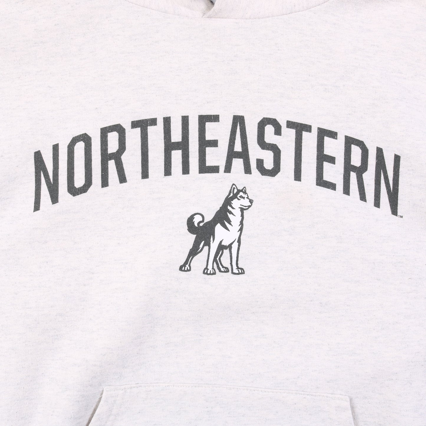 Vintage 'Northeastern' Champion Hooded Sweatshirt - American Madness