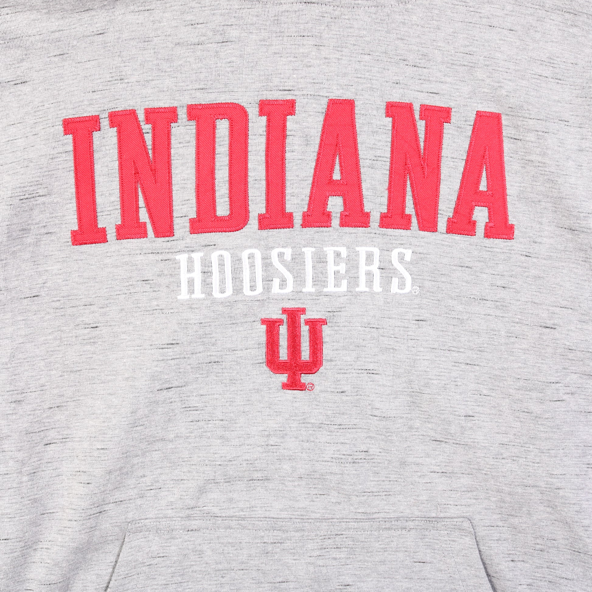 Vintage 'Indiana' Champion Hooded Sweatshirt - American Madness