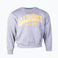 Vintage Allegheny College Graphic Sweatshirt - Grey - American Madness