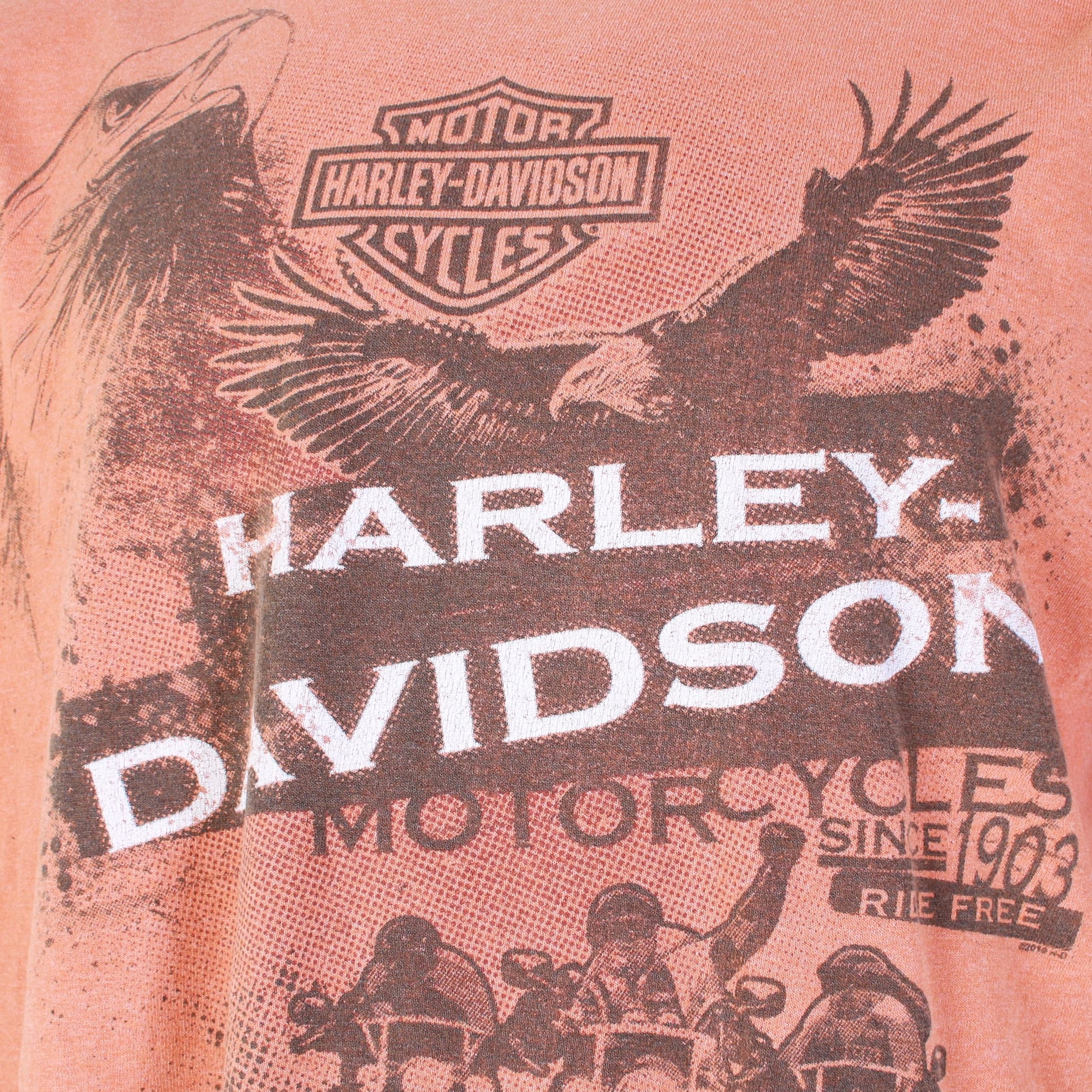 Harley Davidson 'Chambersburg' T-Shirt - American Madness
